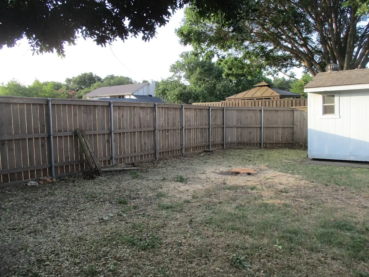 Cleared yard after professional tree removal in Sarver